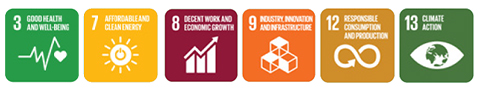 Sustainable Goals
